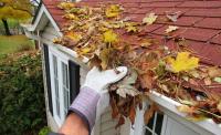 Southeast Gutter Cleaning image 3
